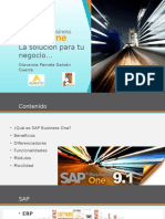 SAP_PPT FINAL pamela.pptx