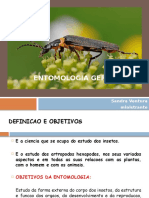 PRIMER - Entomologia