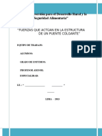 Informe Final Puente Colgante