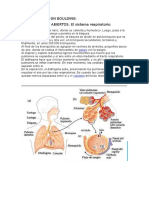 Taxonomia Segun Boulding