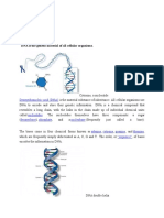 Dna - Rna: DNA Is The Genetic Material of All Cellular Organisms