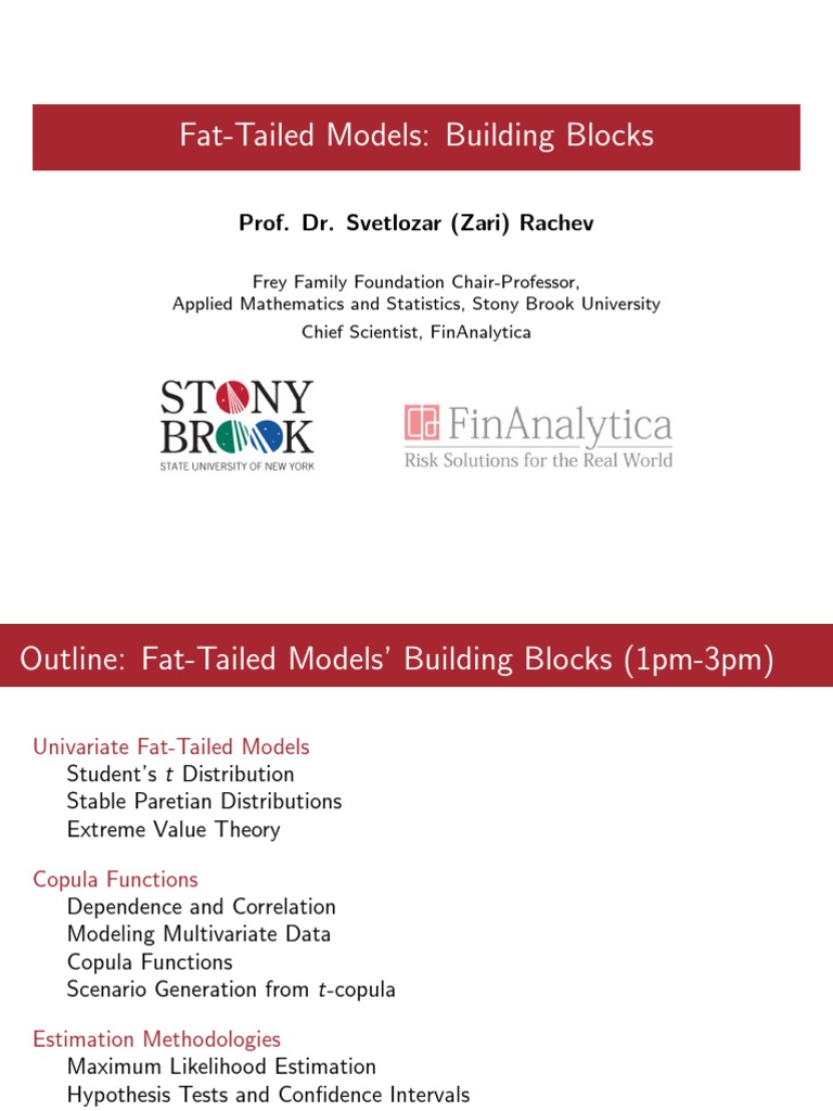 Fat Tails ExecCourse2 9 20 | PDF | Bootstrapping (Statistics ...