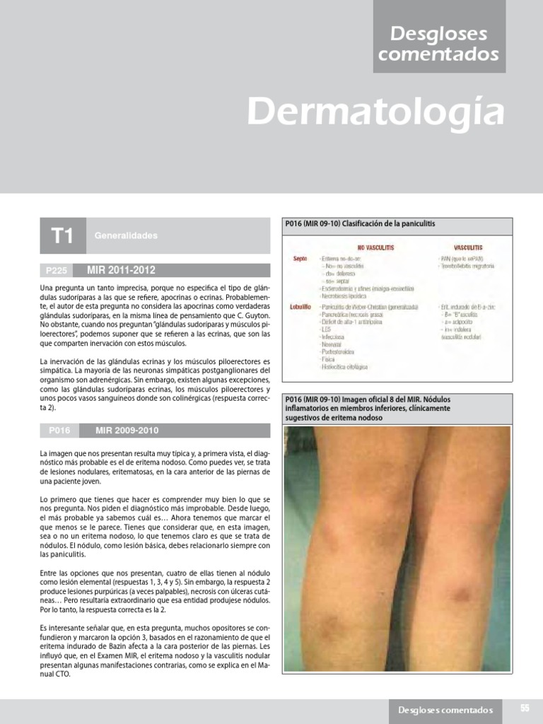 Desgloses Com DM PDF | PDF