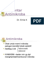 Antimikroba Respirasi