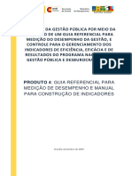 Guia - Indicadores (Versao Preliminar Dez 09) PDF