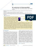 Nanoencapsulation PDF