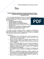 Documento Ministerio de Salud Argentina  Pandemia 2010