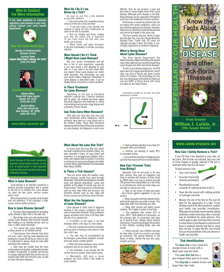 Senator Larkin Lyme Disease Brochure | Lyme Disease | Epidemiology
