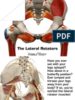 Lateral Rotators 030714 PDF