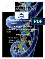 Acidos Nucleicos Exposicion