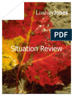 Situation Review.pdf