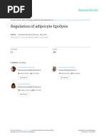 Regulation of Lipolysis