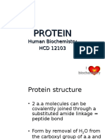 Chapter 9 - Protein