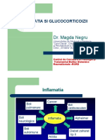 inflamatie+glucocorticoizii+nov2014ppt