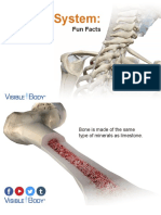 VB Skeletal System Funfacts 2015