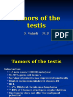 Tumors of The Testis