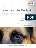 secped.pdf