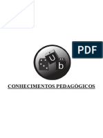 4_Conhecimentos_Pedagogicos