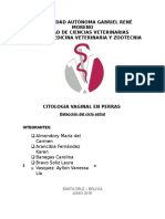 Informe de Citologia Vaginal en Perras