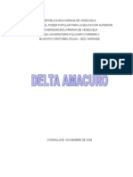 Informe Delta Amacuro