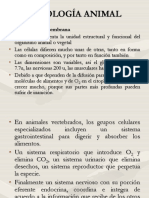 Fisiología A La Membrana Celular PDF