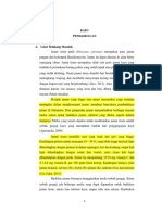 Jamur2 PDF