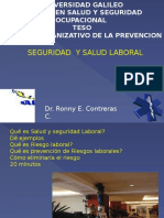 Seguridad y Salud Laboral