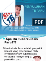 Penyuluhan TB Paru Sulin