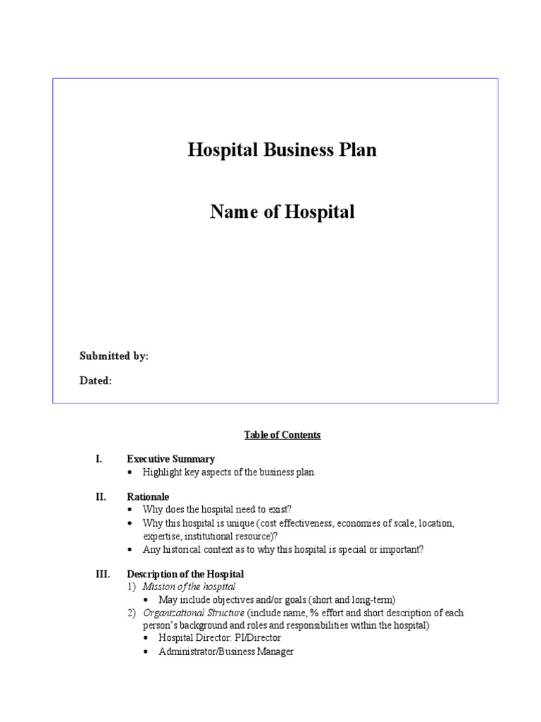 Hospital Business Plan Template PDF Hospital Competition