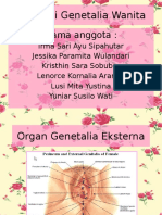 Anatomi Genetalia Wanita