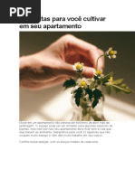 22 Plantas Para Você Cultivar Em Seu Apartamento