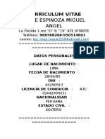 Curriculum Vitae