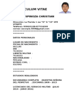 CURRICULUM VITAE - christian.docx