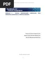 Módulo 1_escola_organização curricular_prática docente (3).pdf