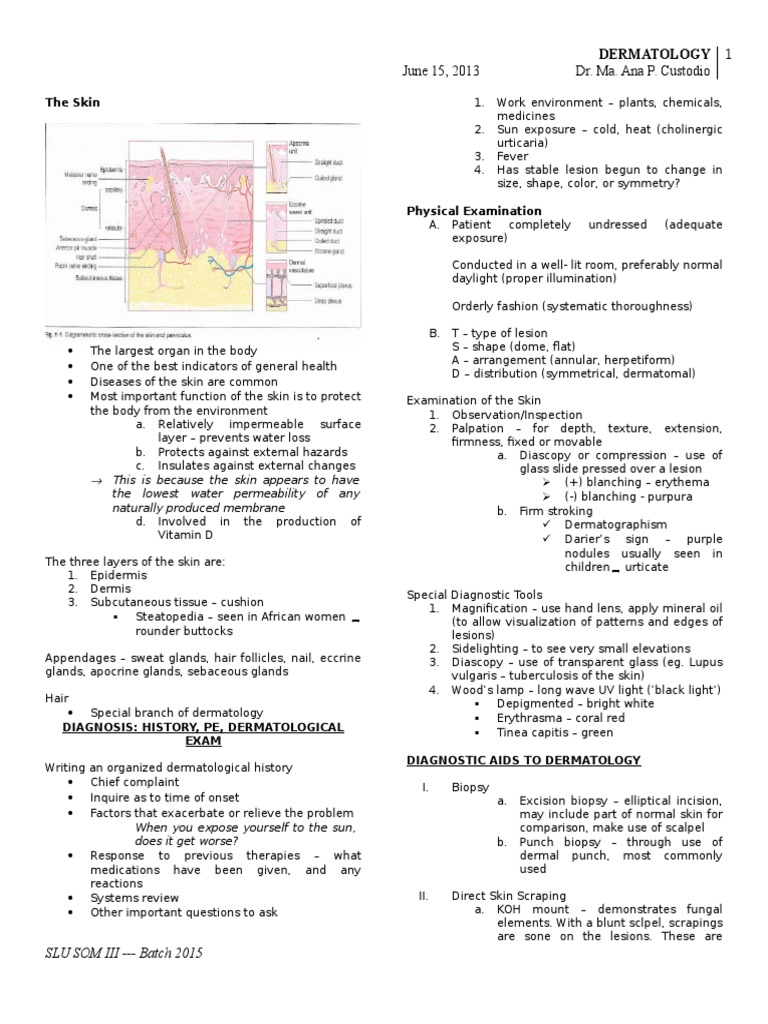 Sample Chart Notes For Dermatology 