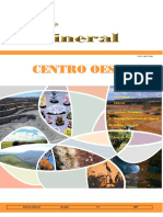 Informe Mineral Co 2007