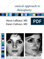 Rhinoplasty Anatomy 2001 01