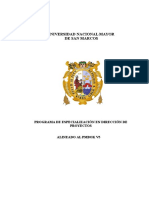 Unmsm-Direccion de Proyectos Ifn