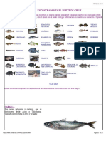 Especies Del Norte de Chile