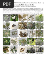 Aspidosperma Mart. (APOCYNACEAE) in Mato Grosso Do Sul State – Brazil - FIELD GUIDE