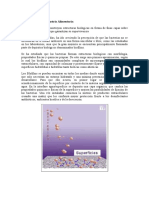 Los Biofilms en La Industria Alimentaria