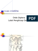 Lalat penghisap darah dan penyakit yang ditularkan