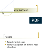 Morfologi Batang