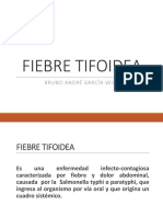 Fiebre Tifoidea: Causas, Síntomas y Tratamiento