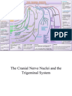 CN2 PDF