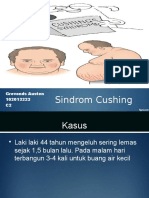 Sindrom Cushing Blok 21