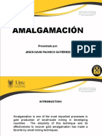 Exposicion Amalgamacion