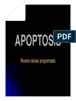 Apoptosis 