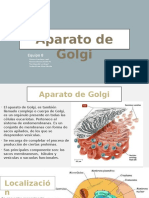 Aparato de Golgi: Estructura, Funciones y Transporte de Proteínas