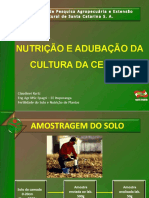 Nutriçao e Adubacao Da Cebola